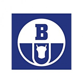Podsufitka Boryszew